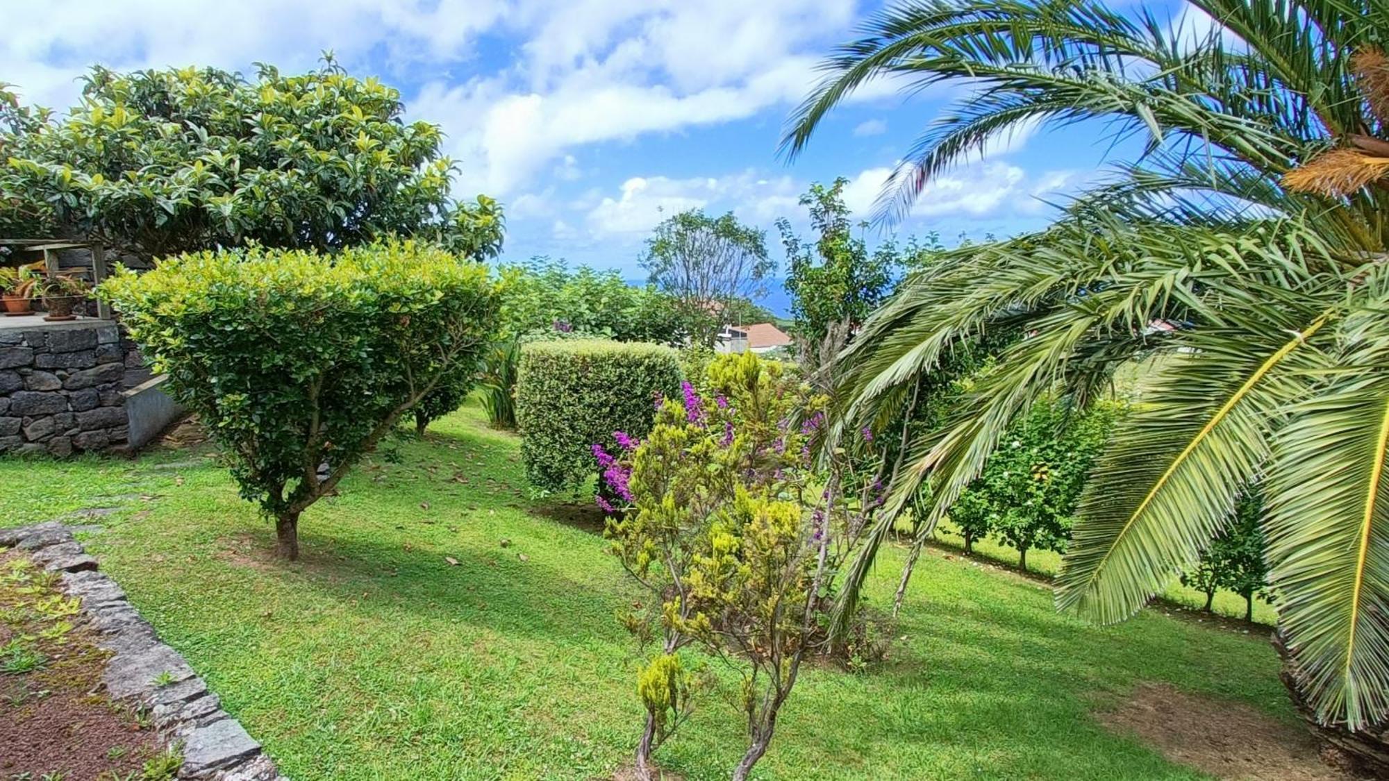 Tradicampo Eco Country Houses Nordeste  Extérieur photo