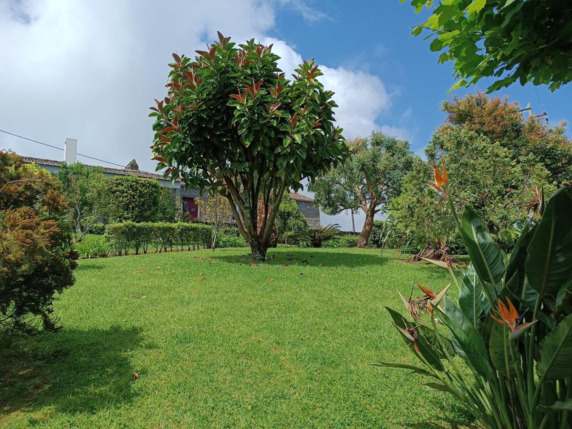 Tradicampo Eco Country Houses Nordeste  Extérieur photo